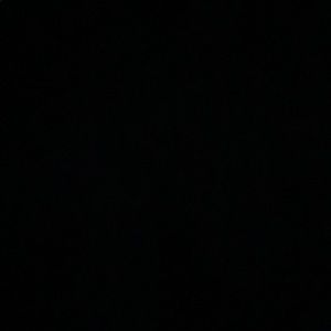 Meet your Posher, Eboni